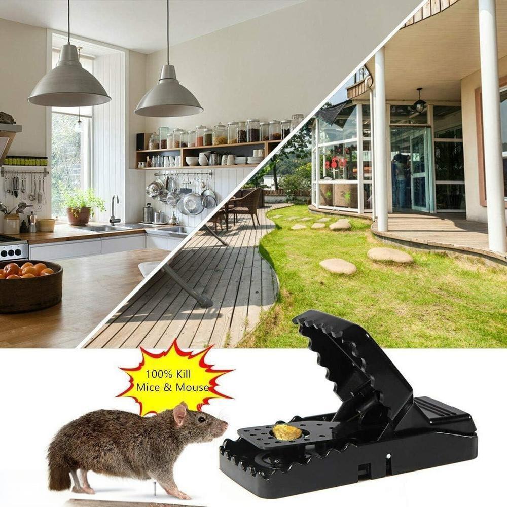 High Quality Snap Mouse Trap with Free Delivery