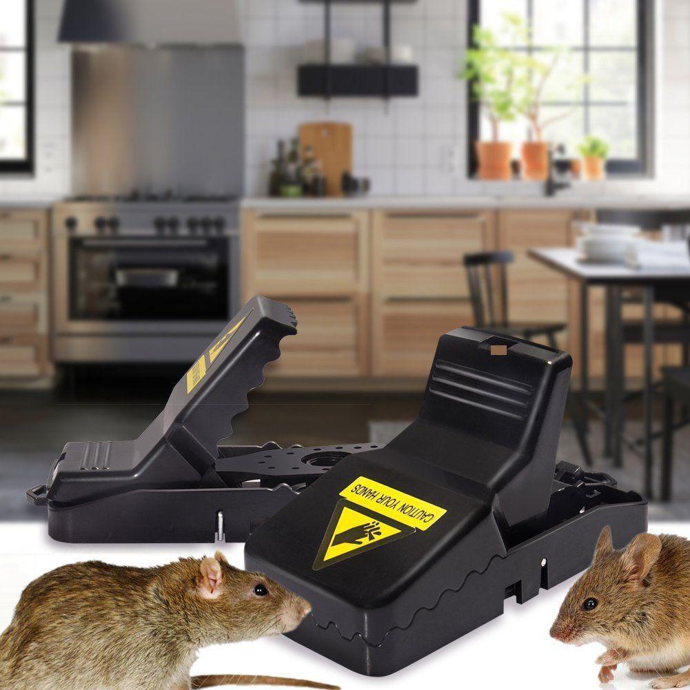 High Quality Snap Mouse Trap with Free Delivery