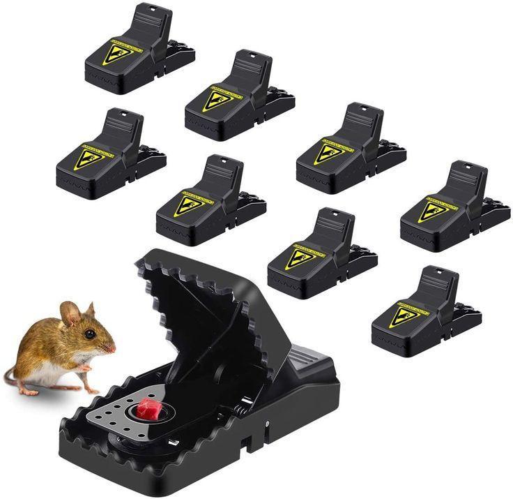 High Quality Snap Mouse Trap with Free Delivery