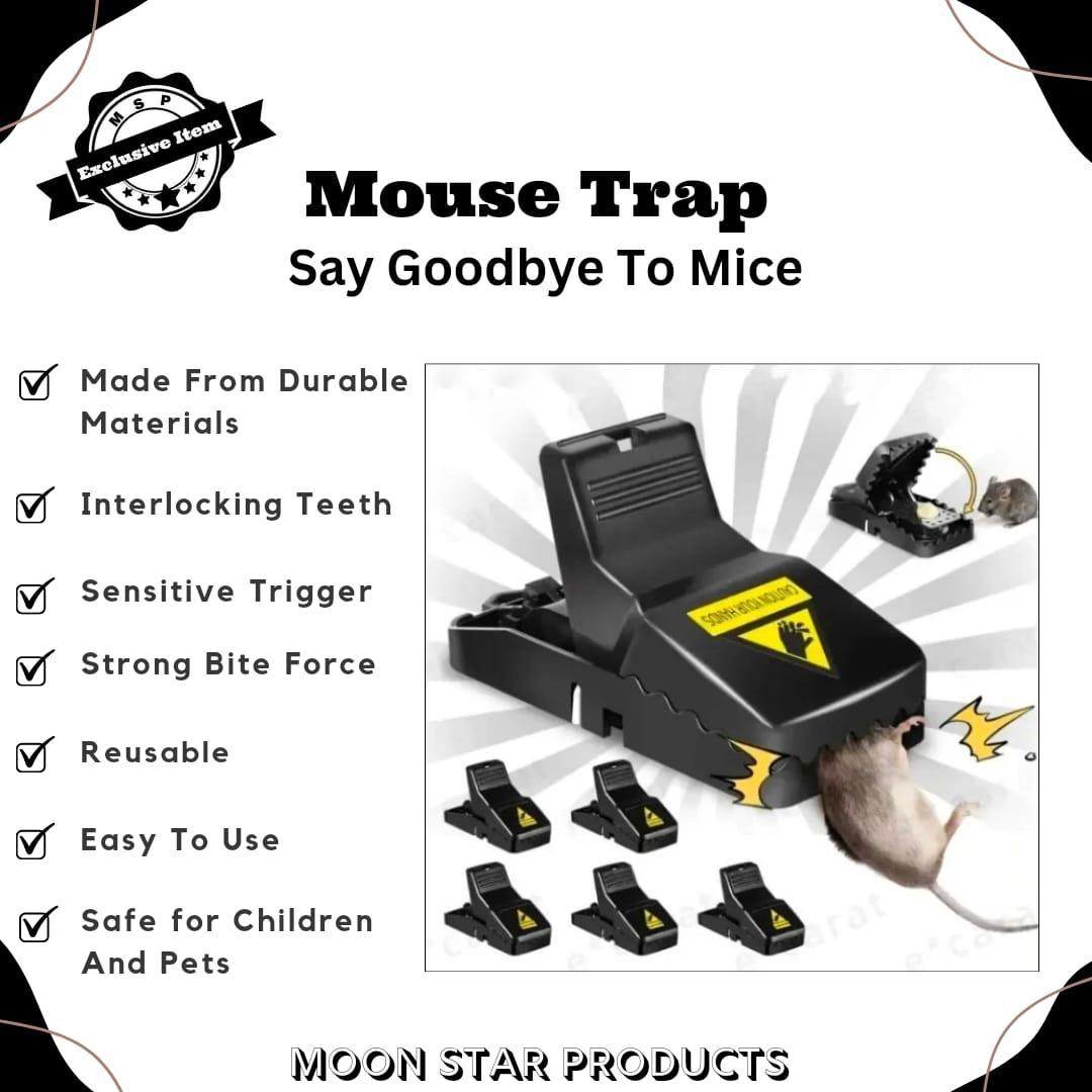 High Quality Snap Mouse Trap with Free Delivery